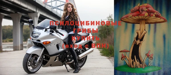 соль курить ск Богданович